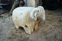 /album/fotogalerie/a014-jpg1/