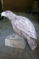 /album/fotogalerie/p1240321-jpg/