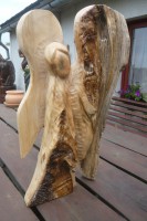 /album/fotogalerie/p1240564-jpg/