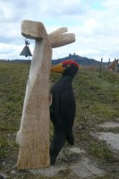 /album/fotogalerie/p1240997-jpg/