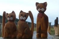 /album/fotogalerie/p1240999-jpg/