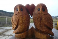 /album/fotogalerie/p1250001-jpg/