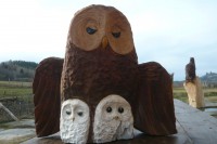 /album/fotogalerie/p1250002-jpg/