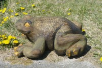 /album/fotogalerie/p1250013-jpg/