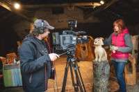 /album/fotogalerie/dsc-0092-jpg/