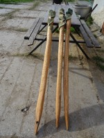 /album/fotogalerie/dsc00389-jpg/