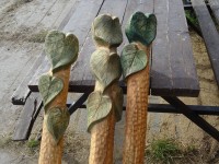 /album/fotogalerie/dsc00390-jpg/