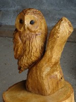 /album/fotogalerie/dsc00812-jpg/