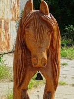 /album/fotogalerie/dsc00892-jpg/