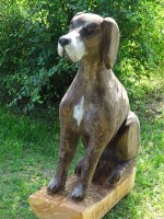 /album/fotogalerie/dsc01252-jpg/