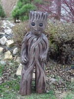 /album/fotogalerie/dsc01679-jpg/