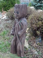 /album/fotogalerie/dsc01680-jpg/