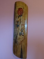 /album/fotogalerie/dsc02255-jpg/