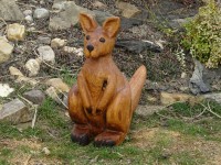 /album/fotogalerie/dsc02355-jpg/