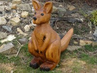 /album/fotogalerie/dsc02356-jpg/