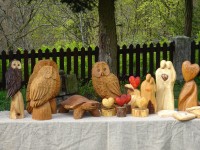 /album/fotogalerie/dsc02428-jpg/